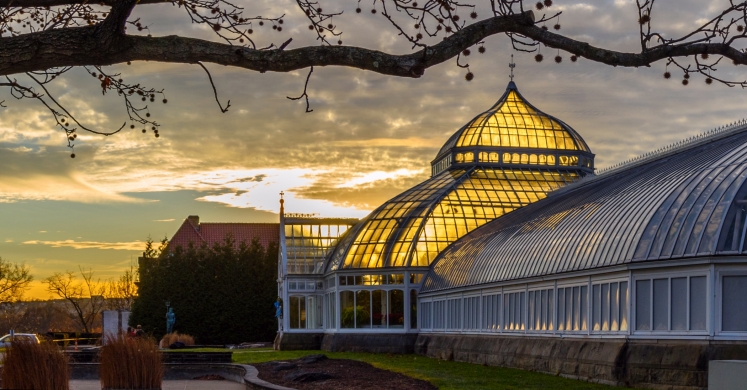 This Week at Phipps: Jan. 1 – 7 This Week at Phipps: Jan. 1 – 7