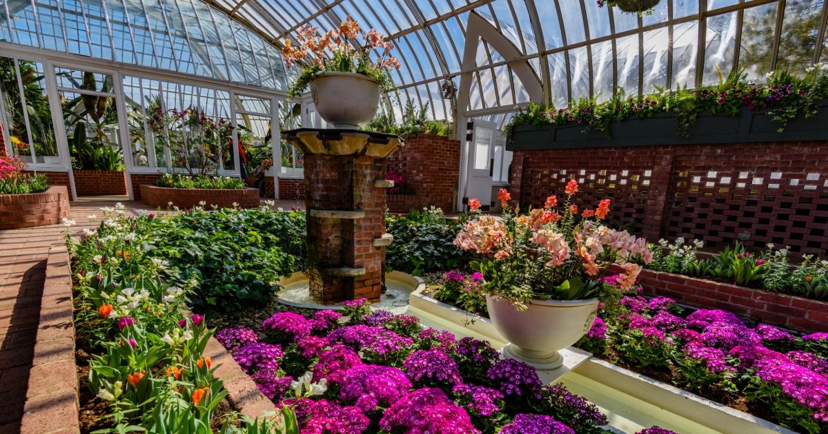 This Week at Phipps March 12 18 Phipps Conservatory and Botanical
