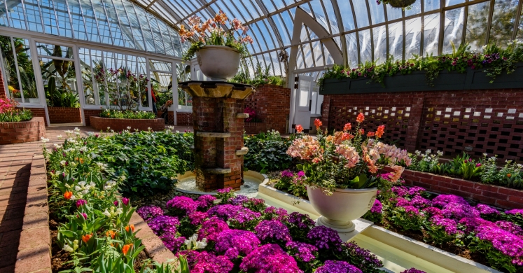 This Week at Phipps: March 12 – 18 This Week at Phipps: March 12 – 18
