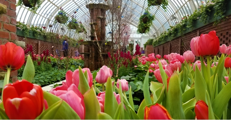 This Week at Phipps: March 20 – 26 This Week at Phipps: March 20 – 26