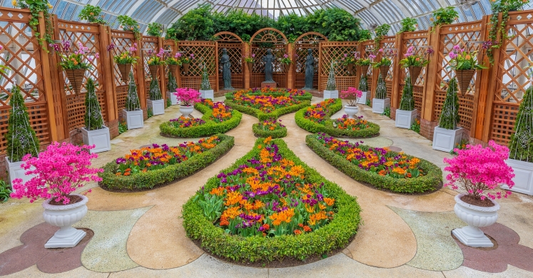 This Week at Phipps: April 8 – 14 This Week at Phipps: April 8 – 14