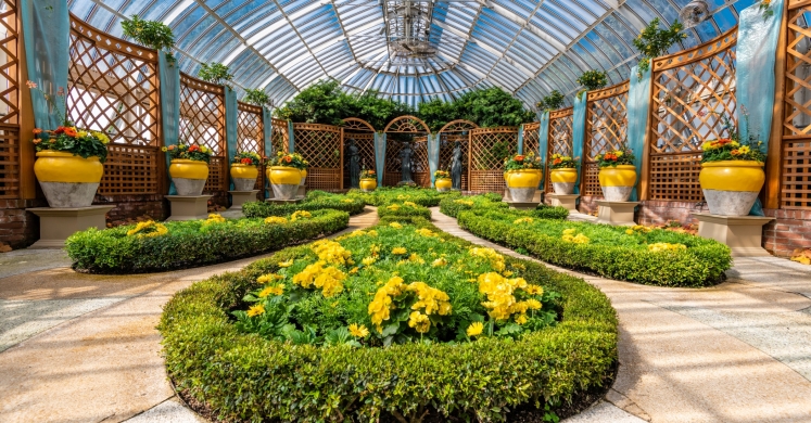 This Week at Phipps: May 13 – 19 This Week at Phipps: May 13 – 19
