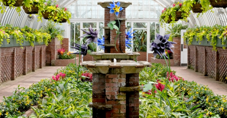 This Week at Phipps: May 29 – June 4 This Week at Phipps: May 29 – June 4