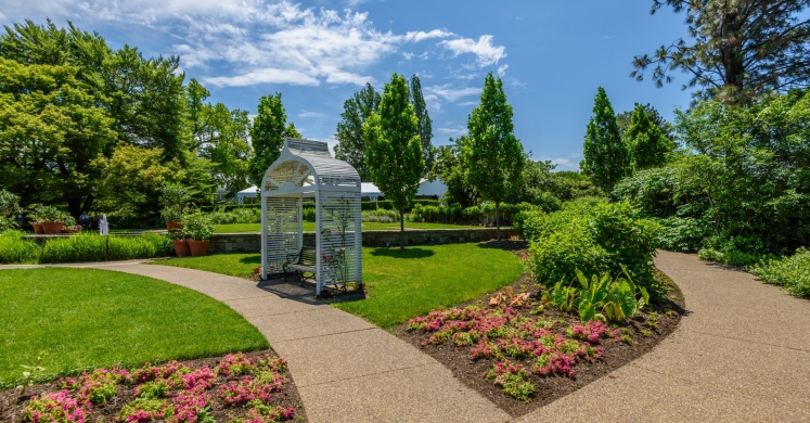 This Week at Phipps: June 5 – 11 This Week at Phipps: June 5 – 11