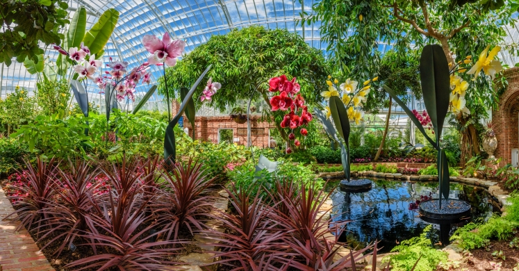 This Week at Phipps: July 10 – 16 This Week at Phipps: July 10 – 16