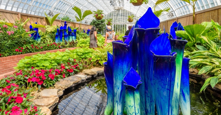 This Week at Phipps: July 31 – Aug. 6 This Week at Phipps: July 31 – Aug. 6