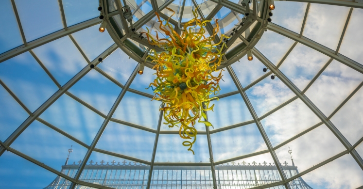 This Week at Phipps: Oct. 1 – 7 This Week at Phipps: Oct. 1 – 7