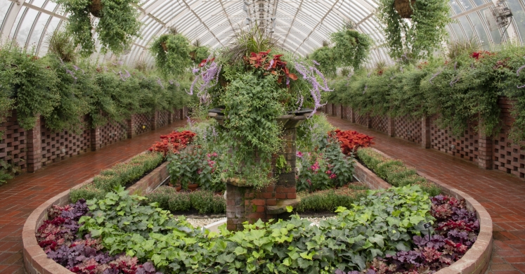 This Week at Phipps: Oct. 15 – 21 This Week at Phipps: Oct. 15 – 21