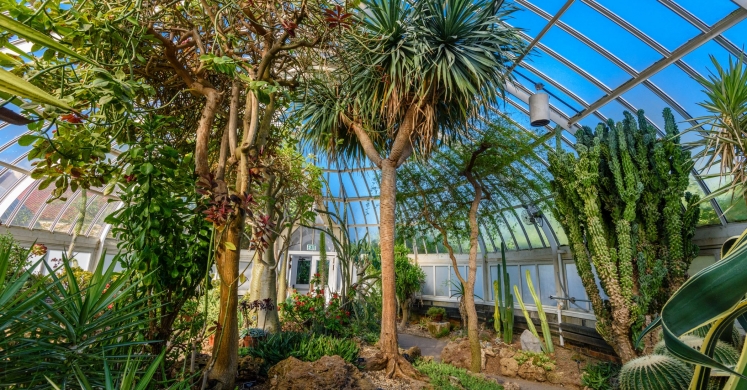 This Week at Phipps: Nov. 6 – 12 This Week at Phipps: Nov. 6 – 12