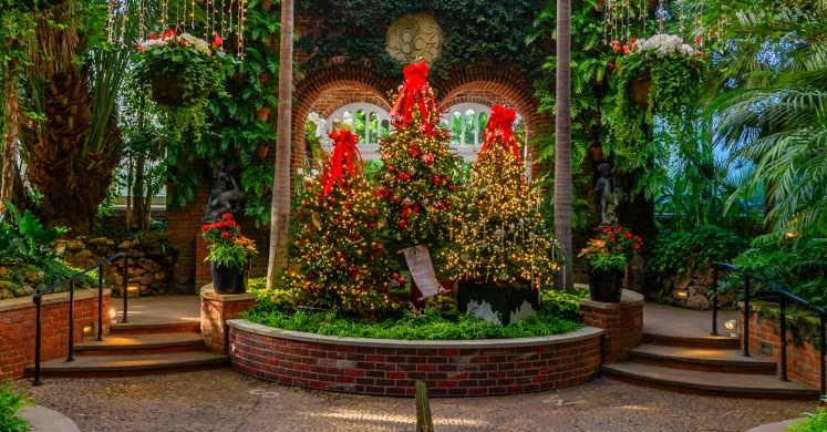 This Week at Phipps: Nov. 27 – Dec. 3 This Week at Phipps: Nov. 27 – Dec. 3