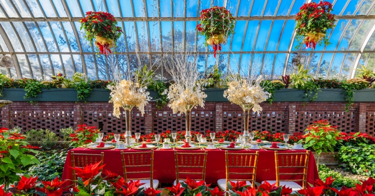 This Week at Phipps: Dec. 4 – 10 This Week at Phipps: Dec. 4 – 10