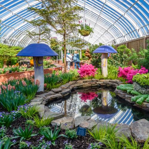 This Week at Phipps: March 27 – April 2