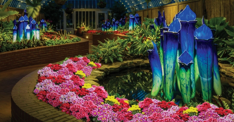 This Week at Phipps: Oct. 16 – 22 This Week at Phipps: Oct. 16 – 22