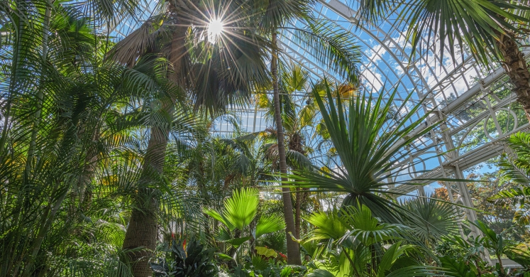 This Week at Phipps: Sept. 9 - 15 This Week at Phipps: Sept. 9 - 15