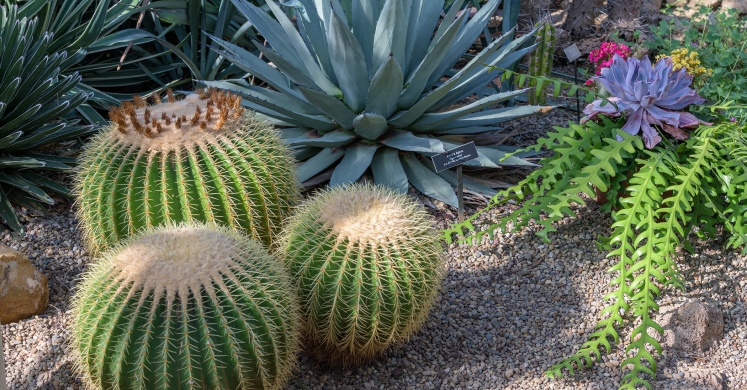 This Week at Phipps: Sept. 23 — 29 This Week at Phipps: Sept. 23 — 29