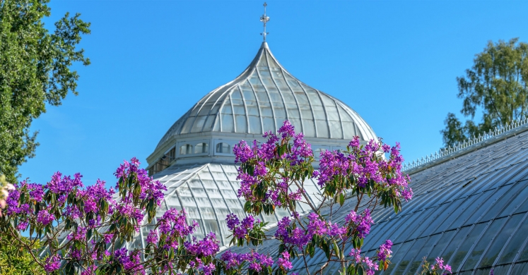 This Week at Phipps: Sept. 30 – Oct. 6 This Week at Phipps: Sept. 30 – Oct. 6