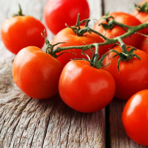 What We’re Cooking With Now: Organic Tomatoes