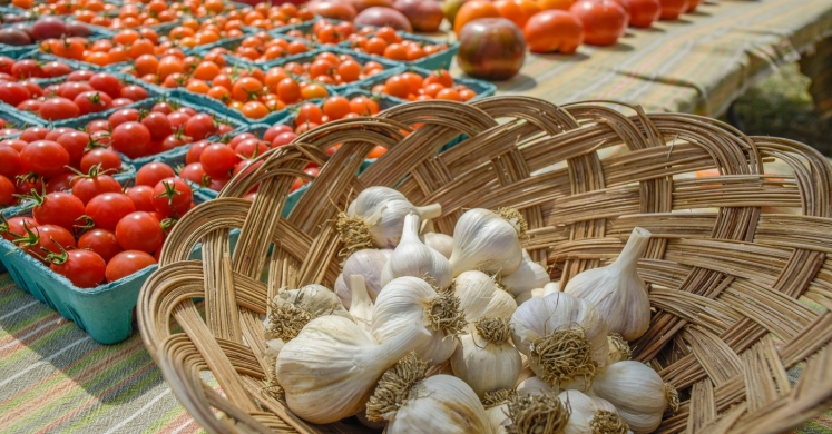 #bioPGH Blog: Tomatoes and Garlic #bioPGH Blog: Tomatoes and Garlic
