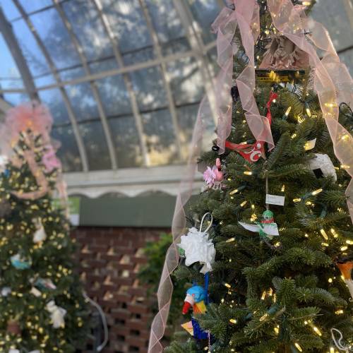 Fairchild Challenge at Phipps: Challenge #1 Winners Announced!