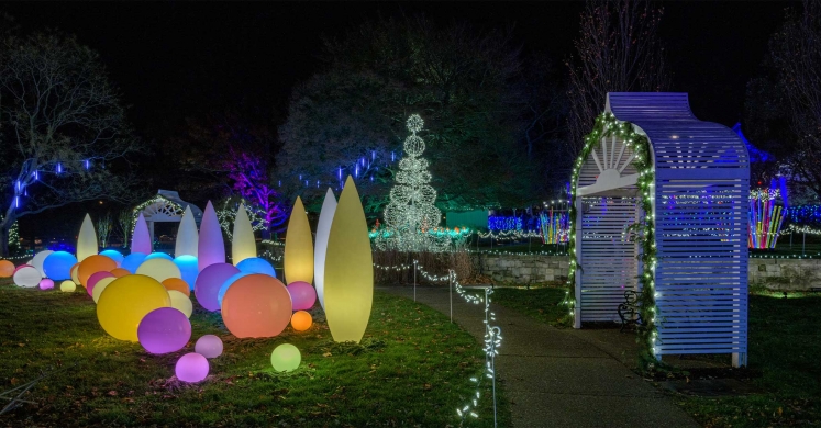 This Week at Phipps: Jan. 6 – 12 This Week at Phipps: Jan. 6 – 12