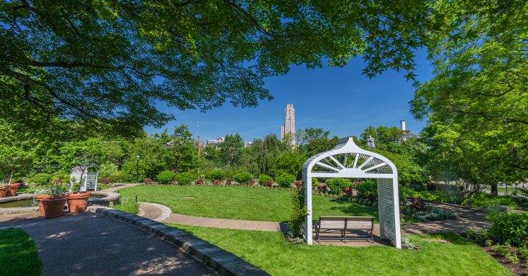 This Week at Phipps: June 21 – June 27 This Week at Phipps: June 21 – June 27