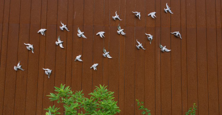 This Week at Phipps: July 19 – 25 This Week at Phipps: July 19 – 25