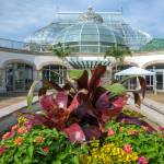 This Week at Phipps: Aug. 17 – 23