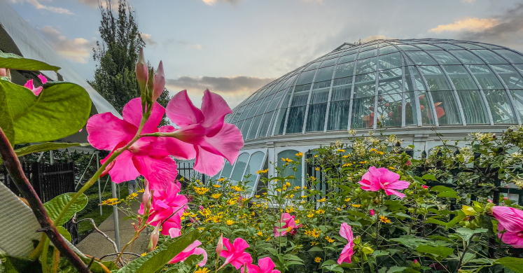 This Week at Phipps: Aug. 23 – 29 This Week at Phipps: Aug. 23 – 29