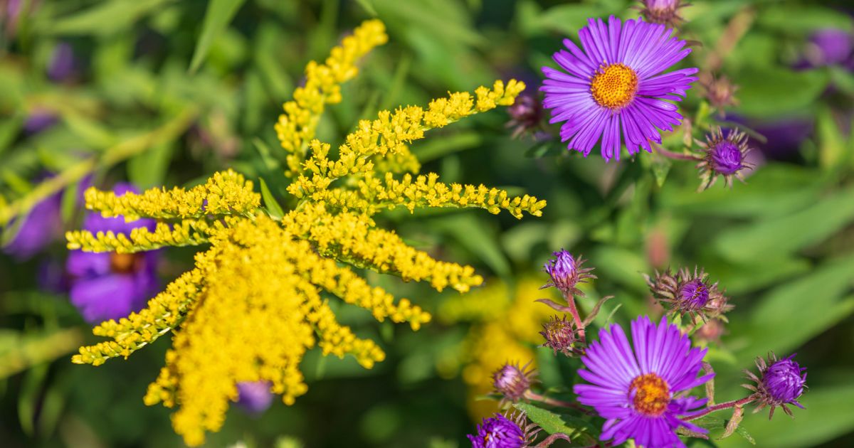 This Week at Phipps: Oct. 12 - 18 | Phipps Conservatory ...