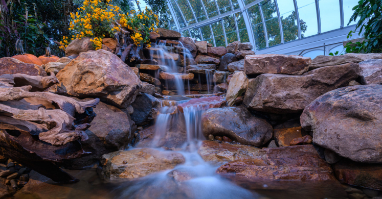 This Week at Phipps: Oct. 23 – 29