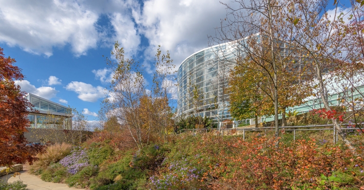 This Week at Phipps: Nov. 11 – Nov. 17 This Week at Phipps: Nov. 11 – Nov. 17