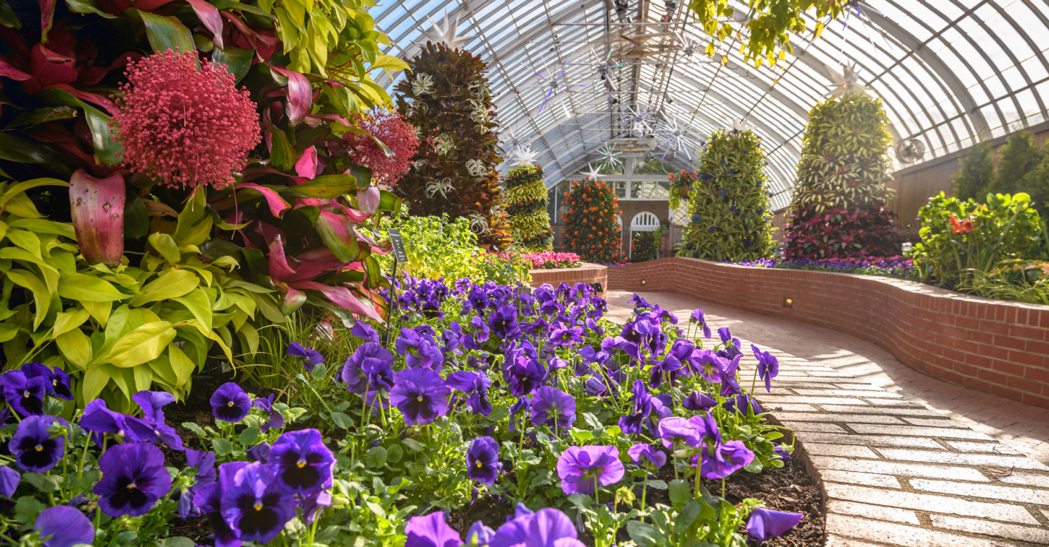 Conservatory, Flower Market - Flower Field in Garden Conservatory, Flower Market - Flower Field in Garden
