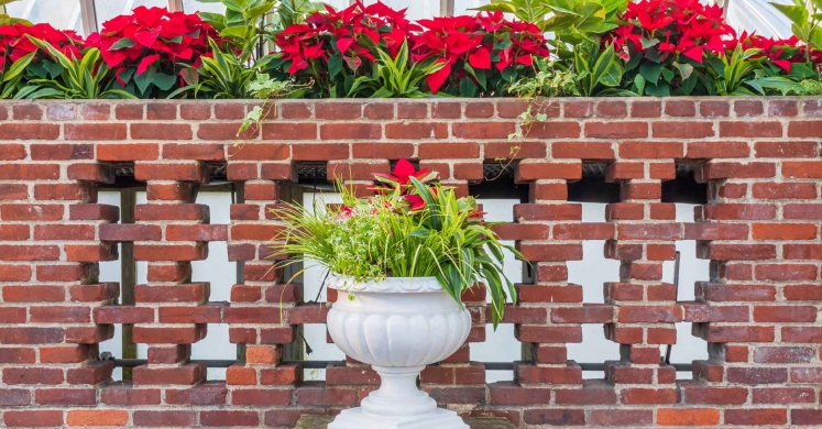 This Week at Phipps: Dec. 2 – 8 This Week at Phipps: Dec. 2 – 8