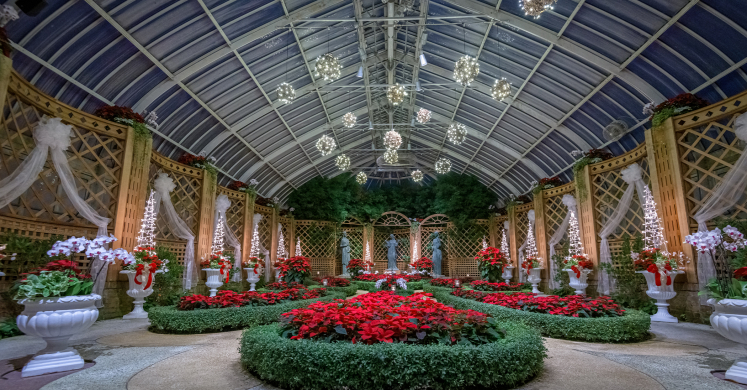 This Week at Phipps: Dec. 28 – Jan. 3 This Week at Phipps: Dec. 28 – Jan. 3
