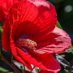 This Week at Phipps: Sept. 22 – 28