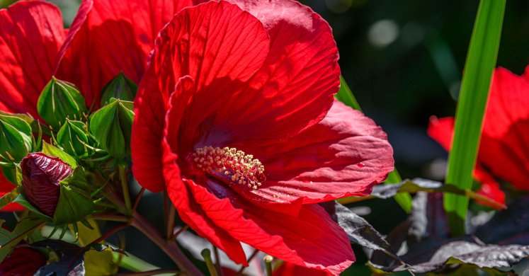 This Week at Phipps: Sept. 22 – 28