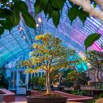 This Week at Phipps: Jan. 17 – 23