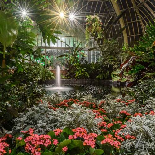 This Week at Phipps: Feb. 7 – 13