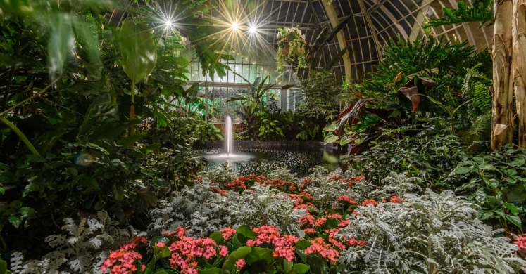 This Week at Phipps: Feb. 7 – 13
