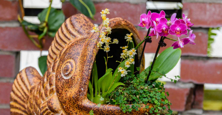 This Week at Phipps: Jan. 24 – 30 This Week at Phipps: Jan. 24 – 30