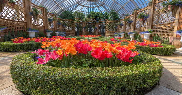 This Week at Phipps: March 15 – 21