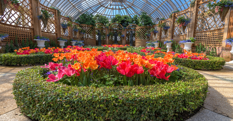 This Week at Phipps: March 15 – 21 This Week at Phipps: March 15 – 21