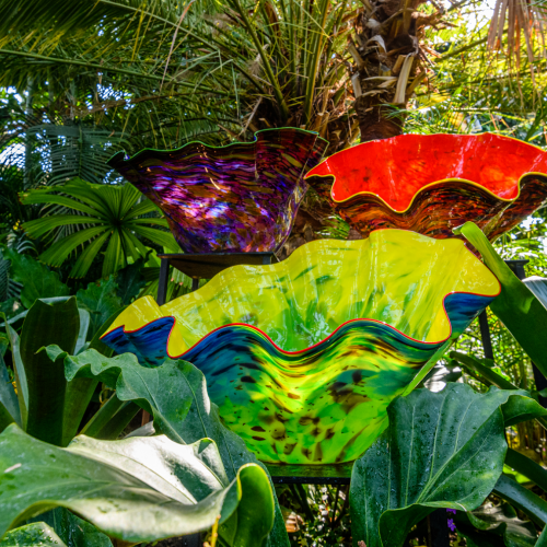 This Week at Phipps: Aug. 29 – Sept. 4