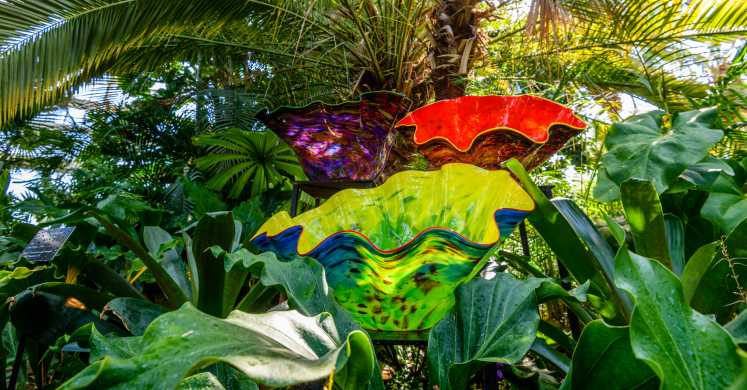 This Week at Phipps: Aug. 29 – Sept. 4