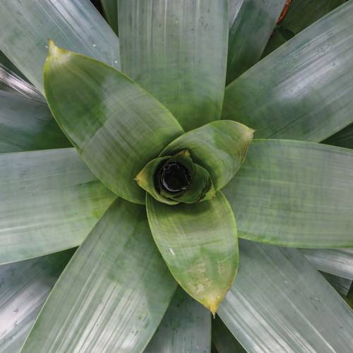 This Week at Phipps: Oct. 14 – 20