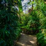 This Week at Phipps: Oct. 20 – 26