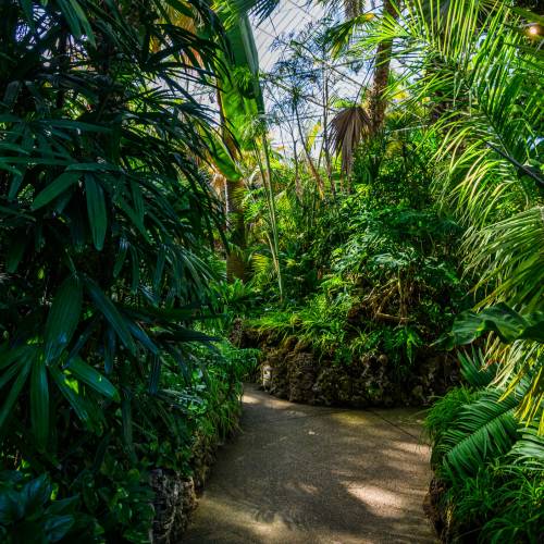 This Week at Phipps: Oct. 20 – 26