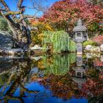 This Week at Phipps: Oct. 27 – Nov. 2