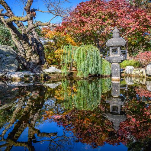 This Week at Phipps: Oct. 27 – Nov. 2