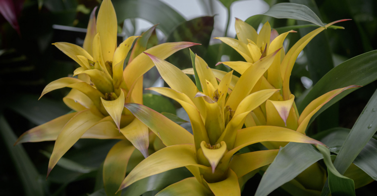 This Week at Phipps: Oct. 5 – 11
